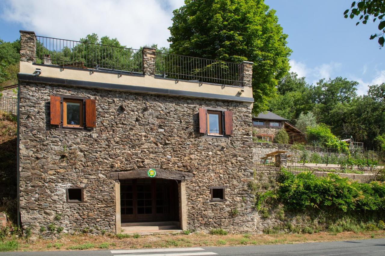 Appartement - gîte de la Moulinquié Saint-Cirgue Exterior foto